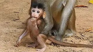 Deep hungry! Poor baby Ariana sit try eating food with mom Anna by terrible hungry cos no milk
