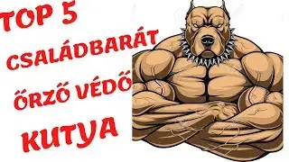 A TOP5 csal&aacute;dbar&aacute;t őrző-v&eacute;dő kutya - DogCast TV!