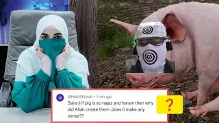 If Pig is so Najas and Haram then why did  Allah create them ???@AdamSeekerOfficial 