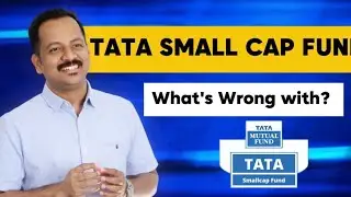 What Happened to Tata Small Cap Fund? Past Data & Fundamentals