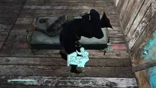 Fallout 4 how to kill mercy long