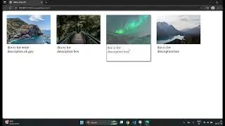 Image Gallery Tutorial | HTML & CSS Step-by-Step Guide for Beginners