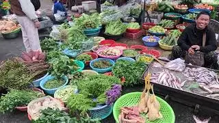 Freshly Foods! Massive Vegetables and Fishes in Boeng Salang 2026
