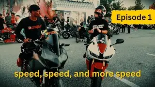 Live Fast! Live Free! Live Dangerous?