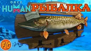 Once Human. Рыбалка. Изделия из рыбы