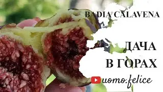 Дача в горах Бадия-Калавена (Верона), Италия, октябрь 2022| Путешествие на машине из России в Италию