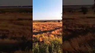 Вечірня прогулянка до Куяльницького лиману 🇺🇦2024#nature#beach#adventure#bike#ukraine#odessa#travel