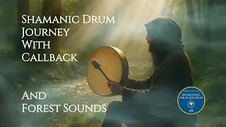 Shamanic Drum Journey #5 With Callback | Forest Sounds, Wind & Crickets |  Sacred Tone Scape