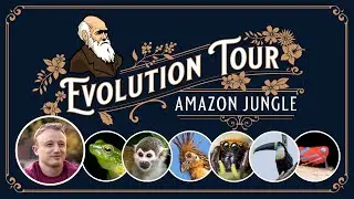 Evolution Tour, 2024! The Amazon Jungle