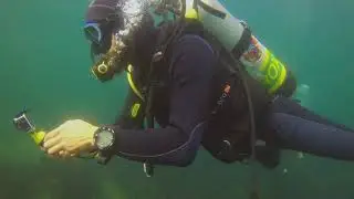Diving with Sozopol Diving Center &mdash; Black Sea, 2021