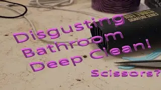 Filthy Bathroom Much Needed Deep Clean