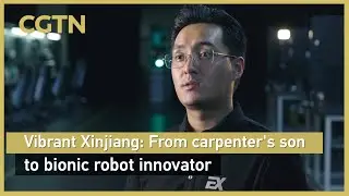 Vibrant Xinjiang: From carpenter's son to bionic robot innovator