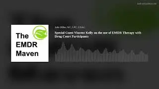 Special Guest Vincent Kelly on the use of EMDR Therapy with Drug Court Participants