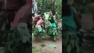 Gorukana, BR Hills - Soliga community dance