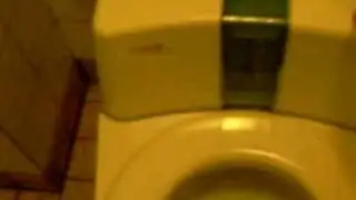 Spinning toilet seat