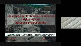 Laboratorio dei materiali di origine vegetale
