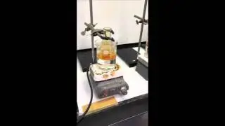 Sample Digestion