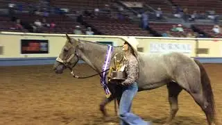 2020 AQHA Youth Pole Bending