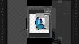 fake png background remove #photoshp