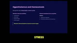 Hypothalamus and Homeostasis 