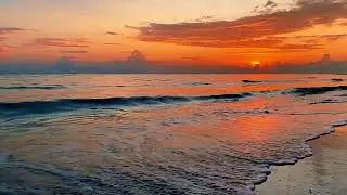 LIVE Ocean Whisper 🌊 Soft Wave ASMR for Sleep, Focus & Stress Relief 24/7