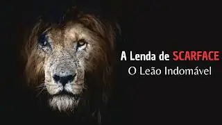 Scarface: A Verdadeira Hist&oacute;ria do Le&atilde;o Mais Famoso da &Aacute;frica | Document&aacute;rio Completo