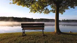 B E S T - C H I L L Music for Studying 2023 | Relaxation with calm music | Dr. Alawi