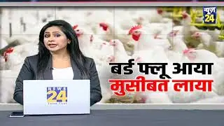 बर्ड फ्लू को लेकर Delhi में सरकार अलर्ट&hellip;मुर्गा मंडी को किया बंद