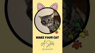 Make Your Cat a Star!  Only 12 Spots Left! #cat #nft #кот #猫 RaindropMusician  