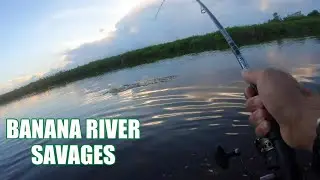 RETURN TO THE BEST FISHING SPOT ON THE BANANA RIVER