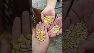 Vibrator Sieve