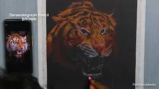 How to Draw A Realistic Tiger Face in Oil Pastel | step by step