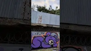 Hızlı Morik Etiketi &ndash; Hızlı &Ccedil;izgi Film Ayı Grafiti 🐻💨 | #shorts