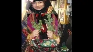 زفة يمنية  جديد  الفنانة مديحة الحرازي yemeni suong