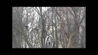 2021 03 22 Uniwersytet Warszawski w oczach Romana Skarpa Uniwersytecka cz 1 widok z wiaduktu Markiew