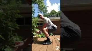 Tips on Gardening Without Joint or Back Pain