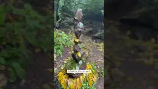 Rock balancing and land art in the forest of Sahyadri mountains