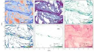 Evolution of density and star formation rate in the Galactic bar