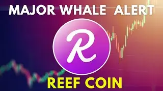 See what the REEF COIN WHALES are Doing Now.