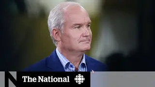 Erin O&rsquo;Toole&rsquo;s stance on vaccine mandates could hurt chances in Ontario