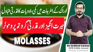 Molasses for Chickens & Birds | Benefits of Molasses | A Natural Immune Booster & Growth Promoter