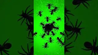 #shorts|spider green screen effect|green screen spider|spider green screen|spider green screen