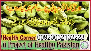 Beneficial Benefits Of Cardamon |الائچی کے فائدے | Sabaz Elaiuchi Ke Fayde Health Corner 03032132223