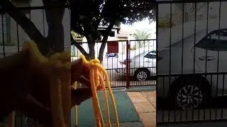 Bot&atilde;o cogumelo.