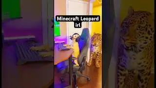 Minecraft Leopard irl #baxtergaming #funnydogs #viralshorts #gamer