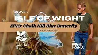 The National Trust's Isle of Wight - EP12: Chalk Hill Blue Butterfly (WEST)