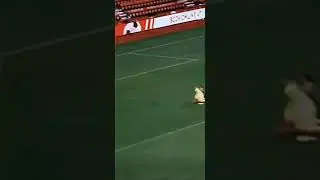 Dieses durchlaufen🤙