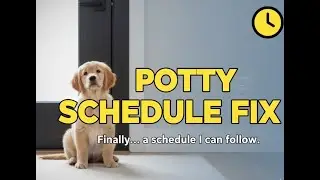 Puppy Potty Schedule Explained &mdash; Stop Accidents for Good