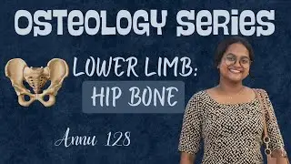 Hip Bone Osteology Explained | First MBBS Anatomy | CRACK THE BONE