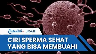 Inilah Ciri Sperma Sehat yang Bisa Membuahi Sel Telur Hingga Akhirnya Terjadi Kehamilan